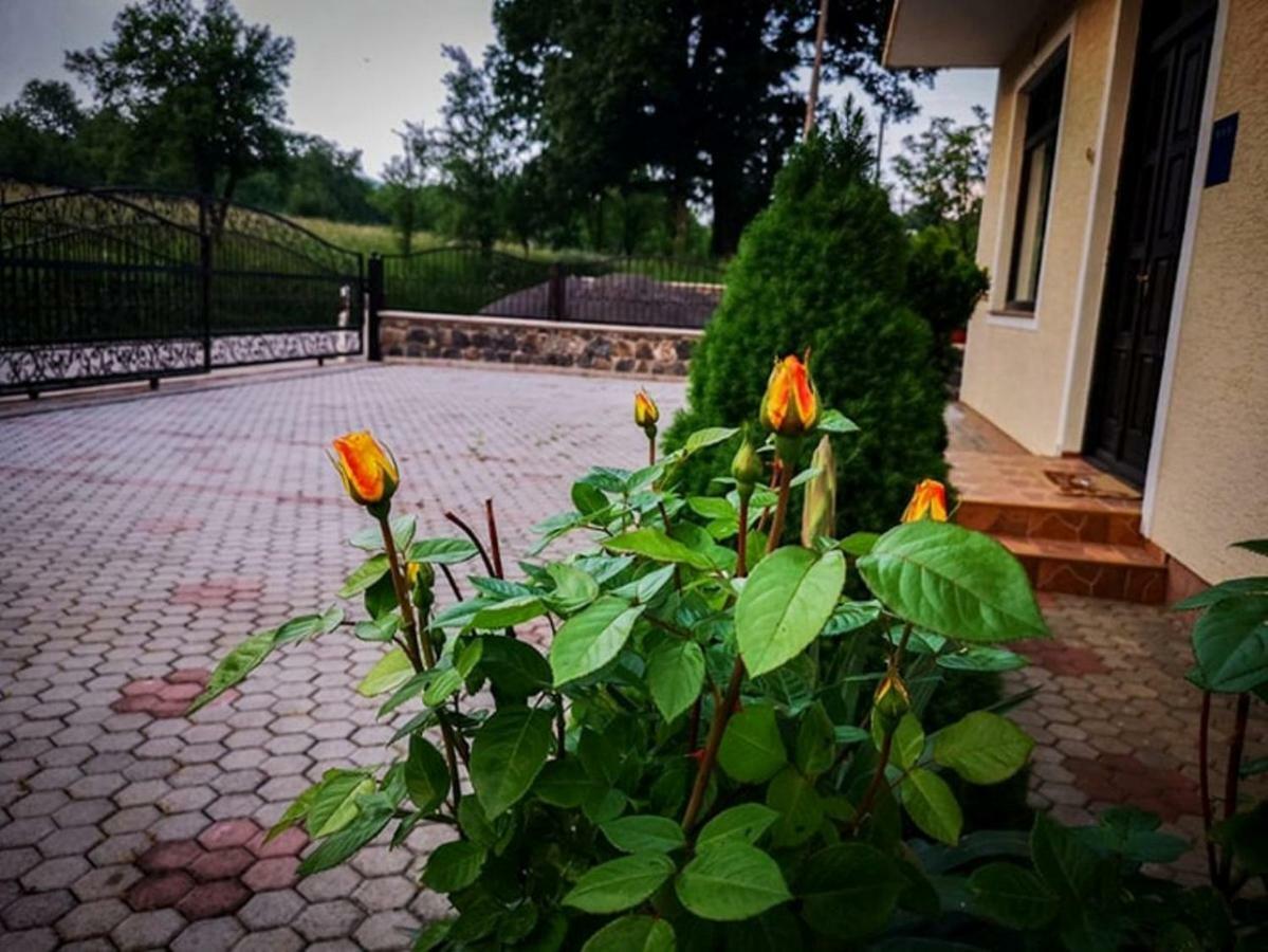 Gacka-Beautiful Place In Nature Otočac Zewnętrze zdjęcie